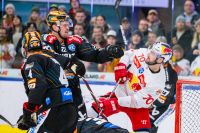 Matthew Murphy (Black Wings) und Benjamin Nissner (EC RBS) (c) GEPA Karpaviciute.jpg