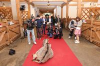 Austrian Alpine Open Night Golfclub Gut Altentann (c) GEPA pictures Mandl Bild 4.jpg