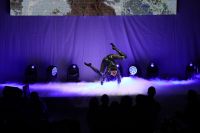 Austrian Alpine Open Night Golfclub Gut Altentann (c) GEPA pictures Mandl Bild 9.jpg