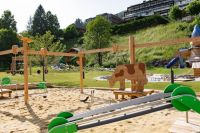 Erlebnisalm Bild 3 (c) saalbach.com .jpeg