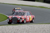 Rote Sau (c) maic Bild 7.jpg