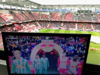 Rapid in der Bullenarena (c) maic