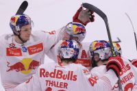 Bullenjubel (c) GEPA pictures Csaba Doemoetoer  .jpg