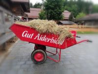 Gut Aiderbichl (c) maic.jpg