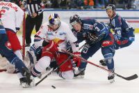EC Red Bull Salzburg vs Fehervar Alba Volan 19 (c) GEPA Mandl