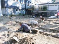 Spitalsfriedhof SALK Impressionen 2  (c) maic.jpg