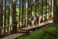 Waldbaden Wanderweg am Asitz (c) Karin Pasterer.jpg