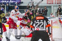 EC Red Bull Salzburg vs EV Vienna Capitals (c) GEPA pictures Karpaviciu.jpg