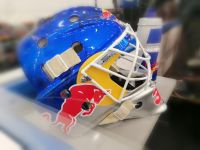 Internationale Bühne für die Eisbullen (c) maic