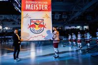 Meister Salzburg (c) Gintare Karpaviciute - EC Red Bull Salzburg.jpg