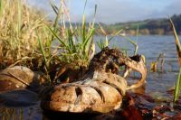 Umweltverschmutzung und Ressourcenraub (c) maic