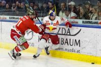 Mike Halmo (Bozen) und Chay Genoway (EC RBS) (c) GEPA pictures Karpaviciute